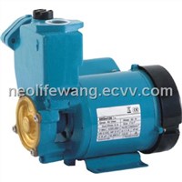 Self-Priming Vortex Pump