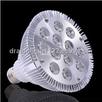 12W PAR Lamp