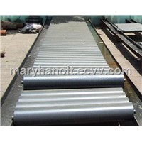 Carrying Conveyor Idler4