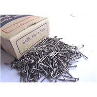 Polished Common Nail - 3/4&amp;quot;*18G