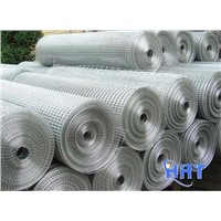 Galvanized Welded Wire Mesh