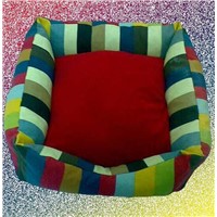 Colorful Quality Bed for Dogs