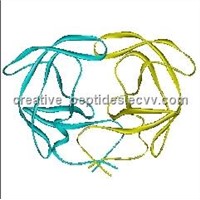 Peptide YY (Human) Acetate