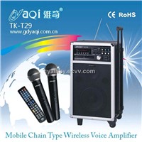 Sound Amplifier (TK-T29)