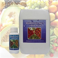 1.3 Seaweed extract liquid plus