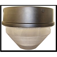 Canopy Induction Light