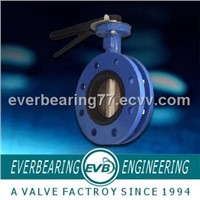 DIN Double Flanged Butterfly Valve