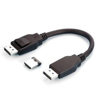 DisplayPort Cable with 20 Number of Contact