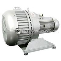 Dry Scroll Vacuum Pump EVP010