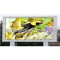 LED SCREEN(TDL10-101)