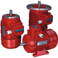MS Three Phase Electric Motor