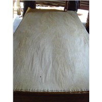 Sell chinese birch veneer rotary cut
