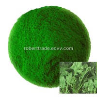 Sell spinach powder,edible tasty, fresh color not only, and can protect