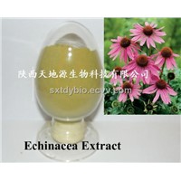 Supply  Echinacea purpurea Extract Powder