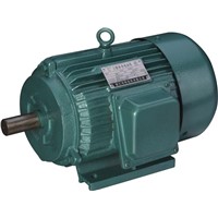 Y Series Electric Motor - Cast Iron