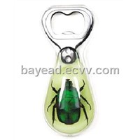 real insect in resin bottle opener,novel gifts,business gifts