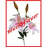 silk flower for lily flower