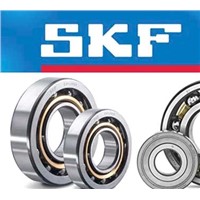 SKF 22218ek Spherical Roller Bearing