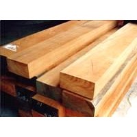Quality african timber logs available