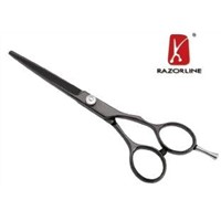 Stainless Steel Hairdressing Scissor R20
