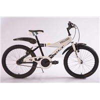 20&amp;quot; new style bike for boy