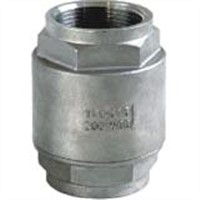 2 pc spring vertical check  valve with filter