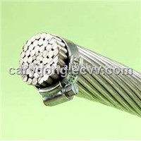 Bare AAAC/AAC Conductor/Cable/Wire