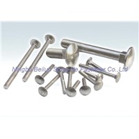 Carriage bolt,DIN603,ISO8677