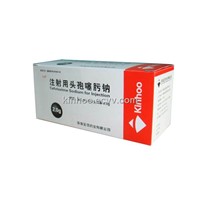 Cefotaxime sodium for injection,Cefotaxime inj.