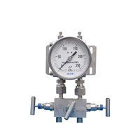 Differential Pressure Gauge