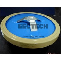 Disc/Plate capacitor CCG81-6