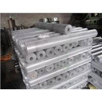 Expanded Metal Mesh Roll for Chemical Industry and Building