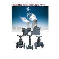 Forged steel gate valve,globe valve,check valve,strainers