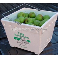 Fruit and Vegetable Plastic Packaging Box
