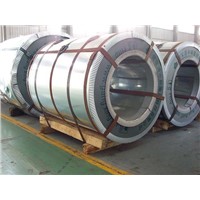 Galvanized Steel Strip for Cables