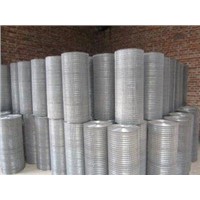 Galvanized welded wire mesh for mink cage