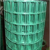 Galvanzied and pvc welded wire mesh