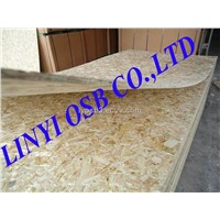 OSB plywood for building