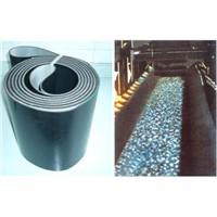 Oil resistant conveyor belt