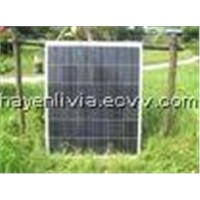 Phoebus 50W solar panel