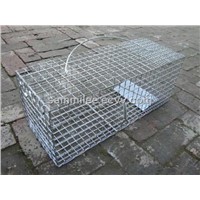 Rabbit Trap Cage