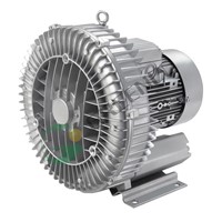 Single stage ring blower