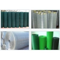 competitive welded wire mesh China supplier