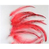 100% Natural Grizzly Feather Extensions