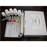 Aflatoxin B1 ELISA Test Kit