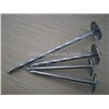 Umbrella Head Roofing Nails with Smooth/Twisted Shank, Various Diameters and Lengths are Available