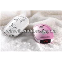 Mini Portable Speaker