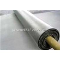 Stainles steel   Wire Cloth
