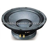 10 inch mid and bass transducer