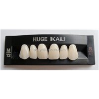 2 story polymer teeth KAILI T2